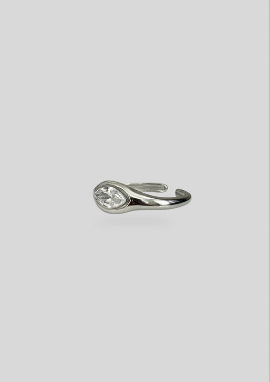 NINA RING